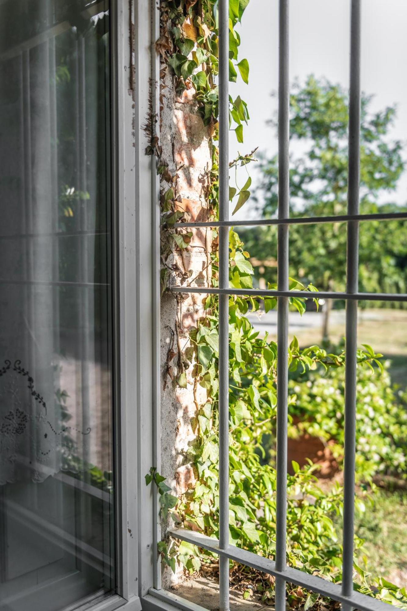 Villa Casolare del Pin Bono Altopascio Exterior foto
